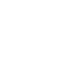 ball-white Hand holding a ball icon in white