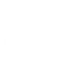 kidney-white Kidneys icon in white